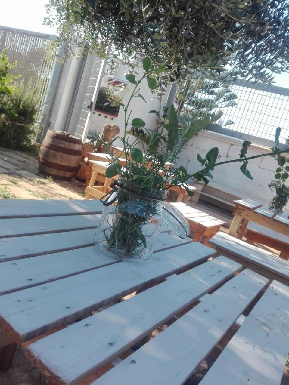 Hotel Sosta Camper La Specchia San Pietro in Bevagna Exteriér fotografie
